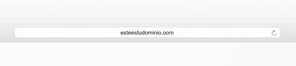 Este es tu dominio - HolyMonkey - SEO para principiantes